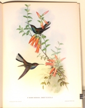 Exotische Vogel 23/24